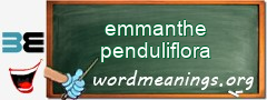 WordMeaning blackboard for emmanthe penduliflora